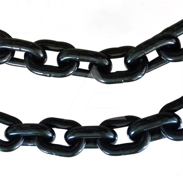 辰力10噸發(fā)黑鏈條/
