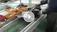 辰力手拉葫蘆車間，手拉葫蘆流水作業(yè)中